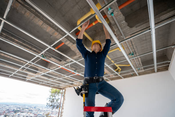 Best Commercial Plumbing Services  in Bald Kno, AR